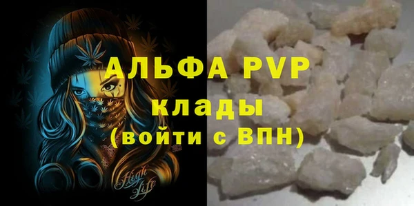 стаф Абаза