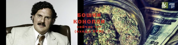 стаф Абаза