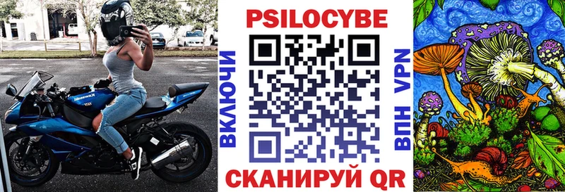 Псилоцибиновые грибы мицелий  Бердск 